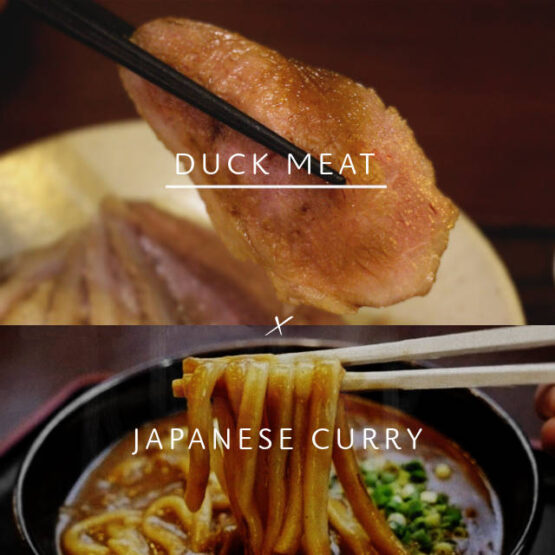duck udon